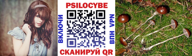 как найти закладки  Дубна  Галлюциногенные грибы Psilocybe 