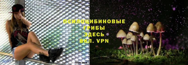 Галлюциногенные грибы Magic Shrooms Дубна