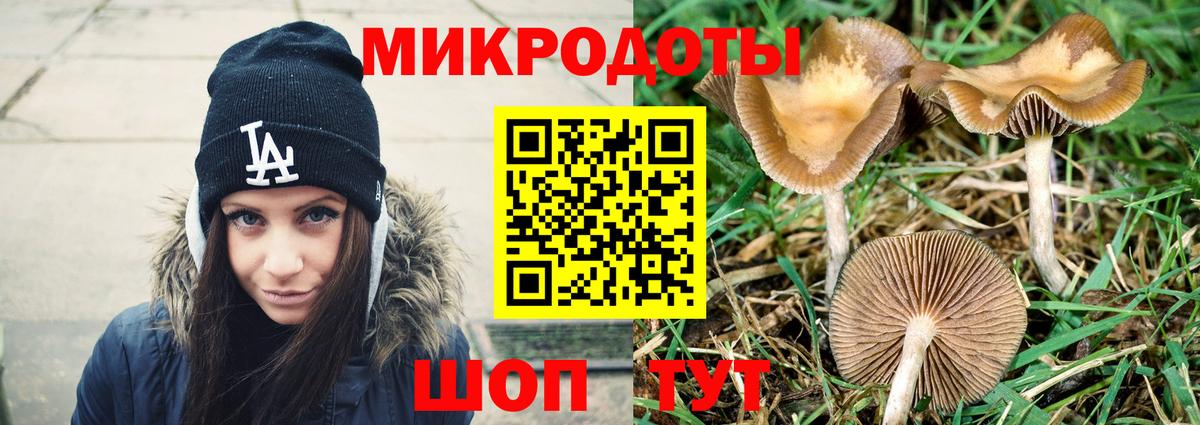 Галлюциногенные грибы Cubensis Дубна