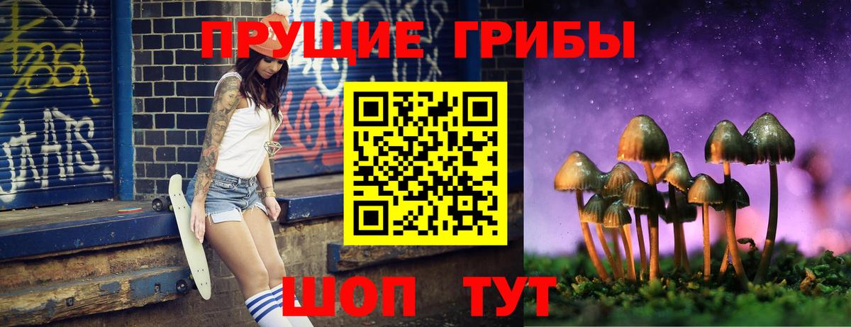 Псилоцибиновые грибы Psilocybine cubensis Дубна