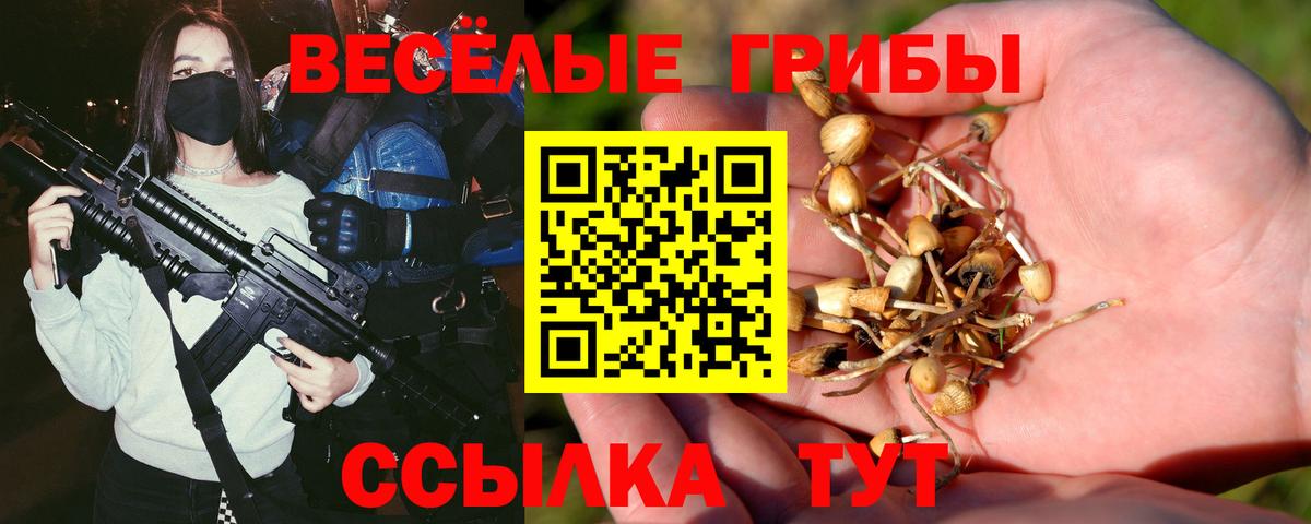 Дубна  Галлюциногенные грибы мухоморы  Вход с VPN 