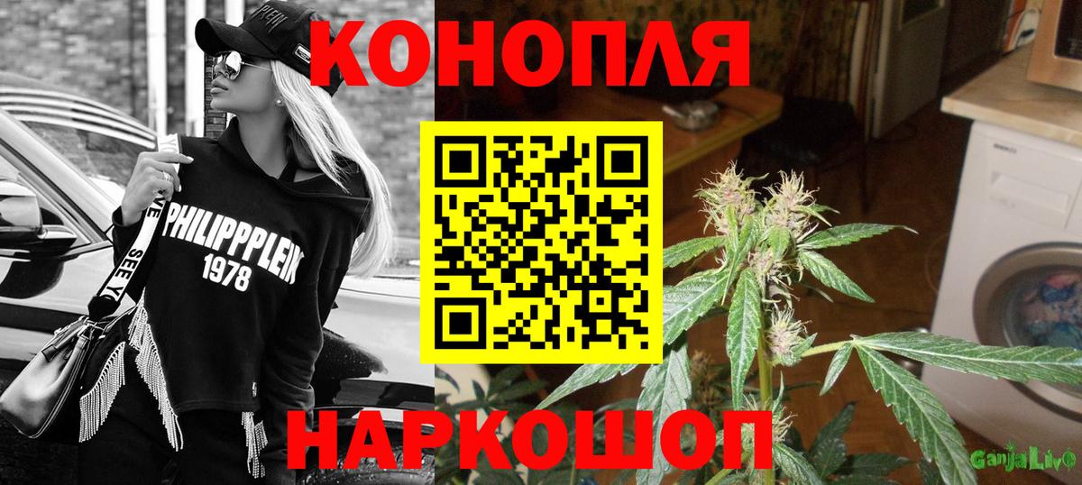 Канабис план Дубна
